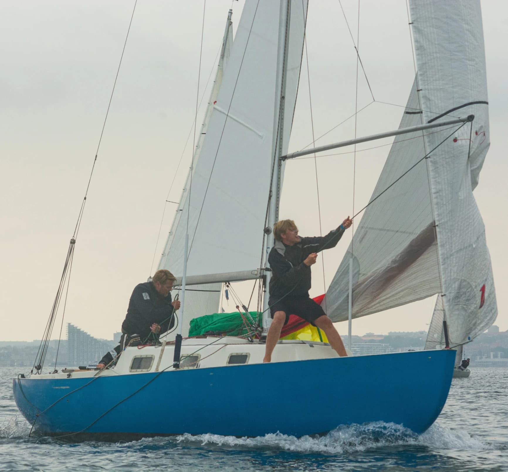 Coverbillede af Rasta Lis