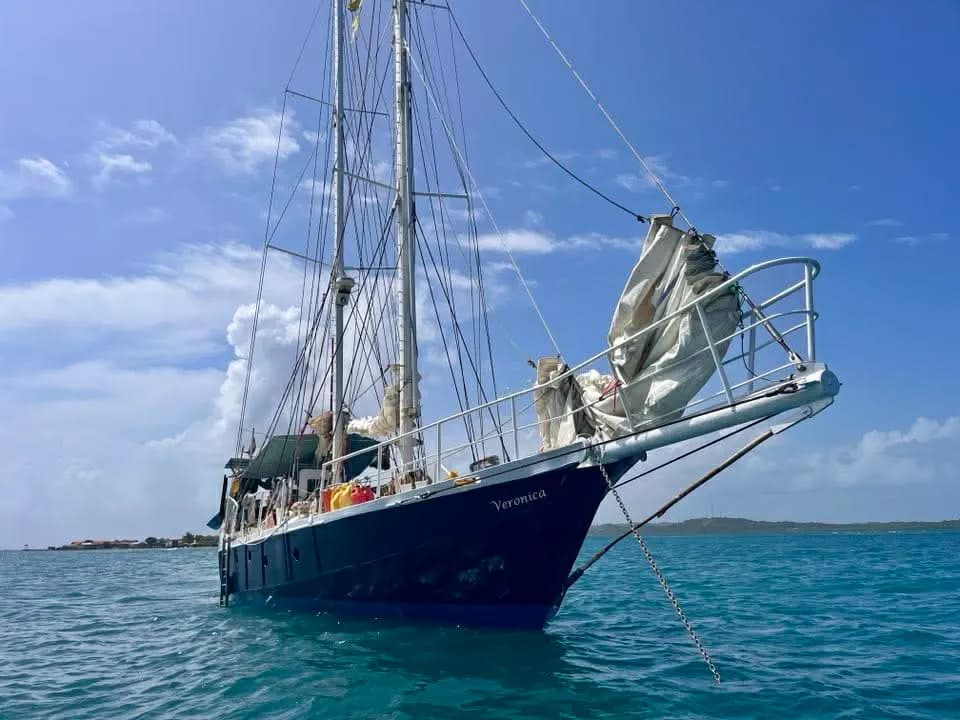Coverbillede af S/Y Veronica